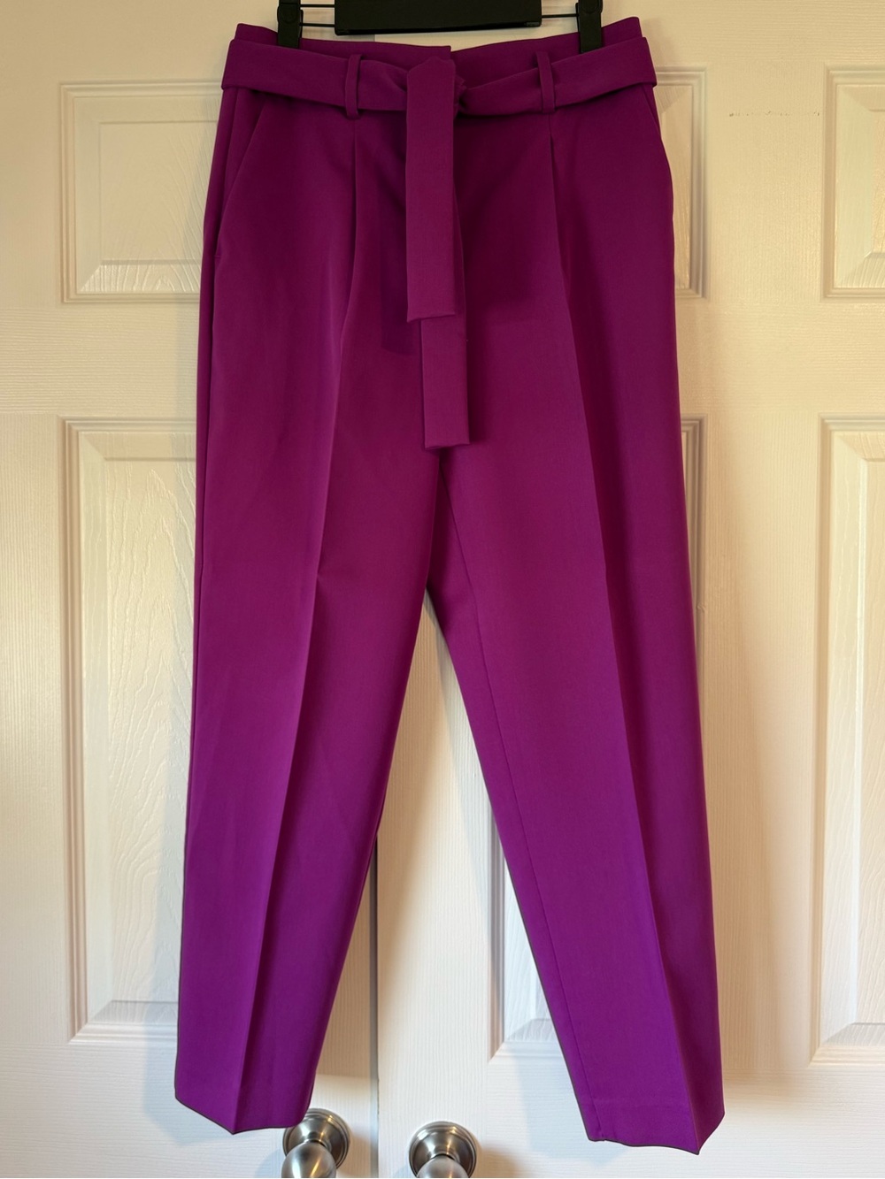 Ann Taylor Purple Trousers